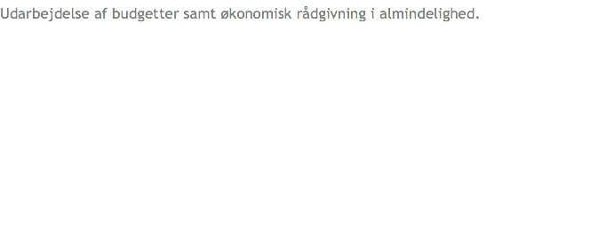 Udarbejdelse af budgetter samt økonomisk rådgivning i almindelighed.